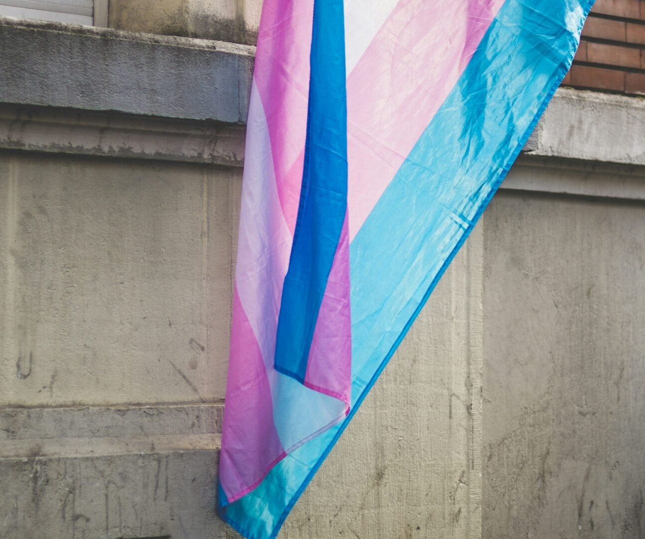 Trans Flag